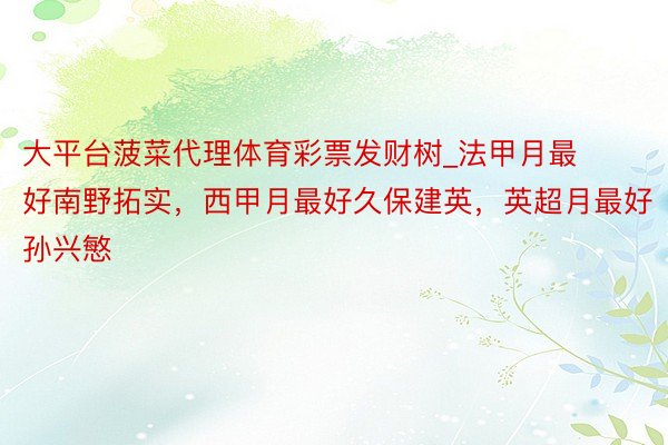 大平台菠菜代理体育彩票发财树_法甲月最好南野拓实,西甲月最好久保建英,英超月最好孙兴慜
